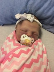 Samantha Grace Shier-Norris-Cox (2014 - 2014)